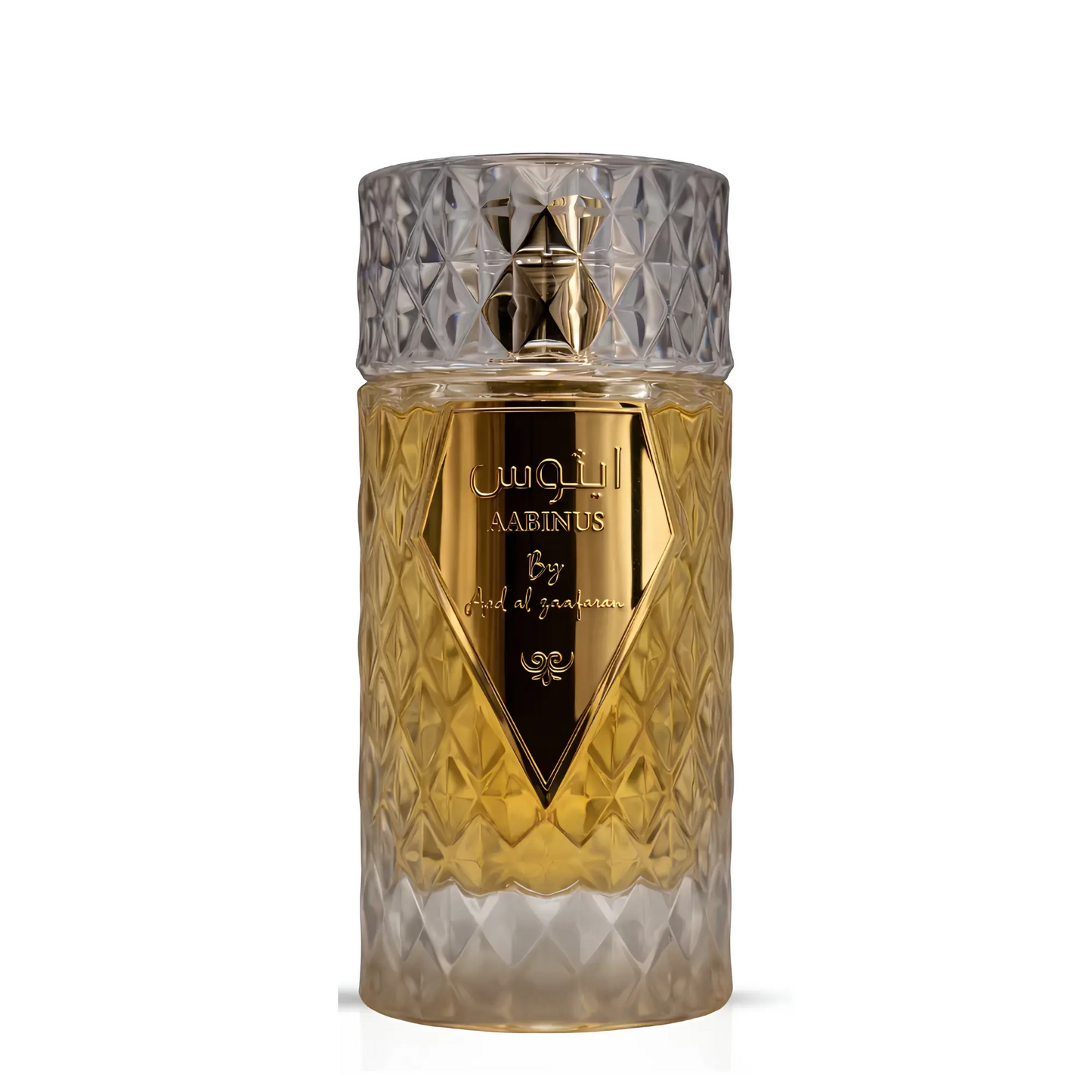 Aabinus Unisex Perfume 100ml EDP