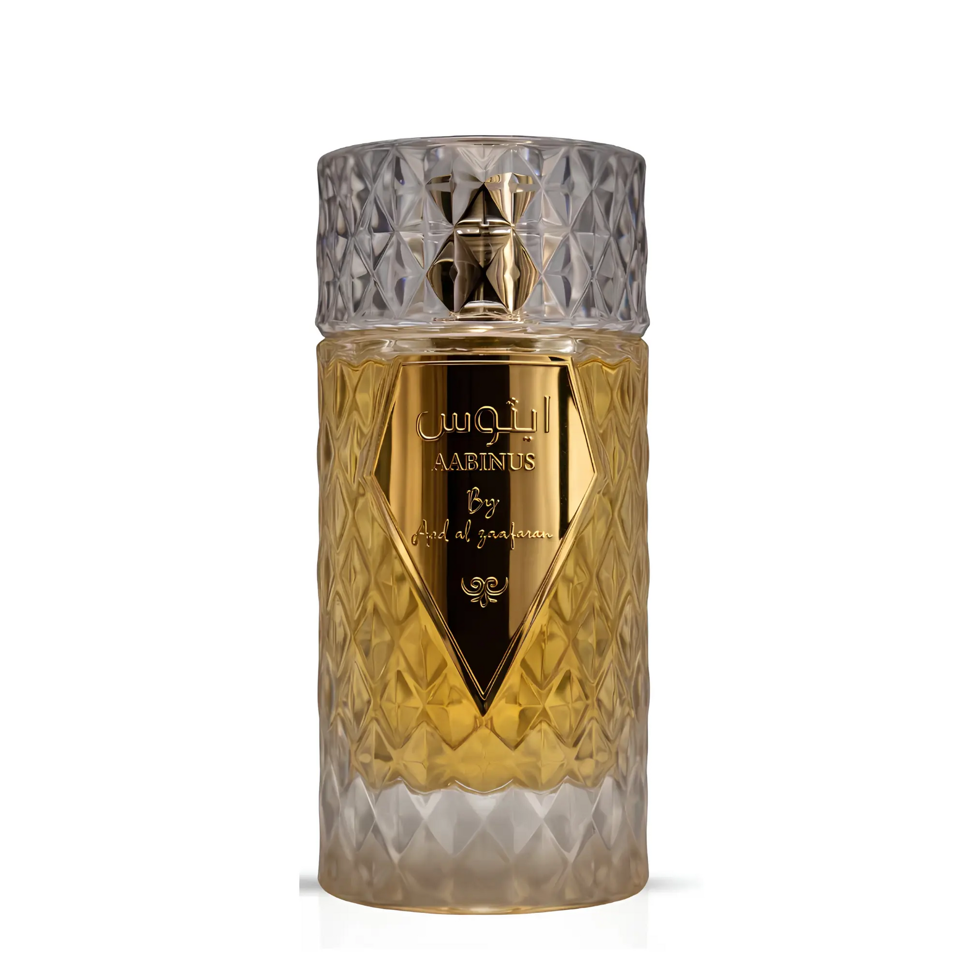 Aabinus Unisex Perfume 100ml EDP
