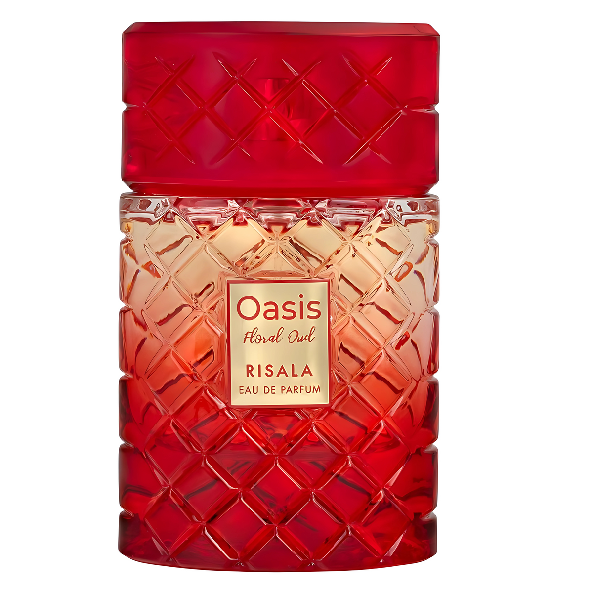 Oasis Floral Oud Perfume 100ml EDP by Risala